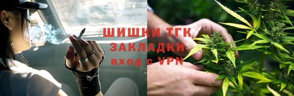 молекула духа Алзамай